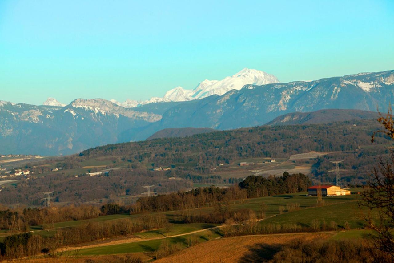 Le Manoir Bed and Breakfast Chaumont  Buitenkant foto